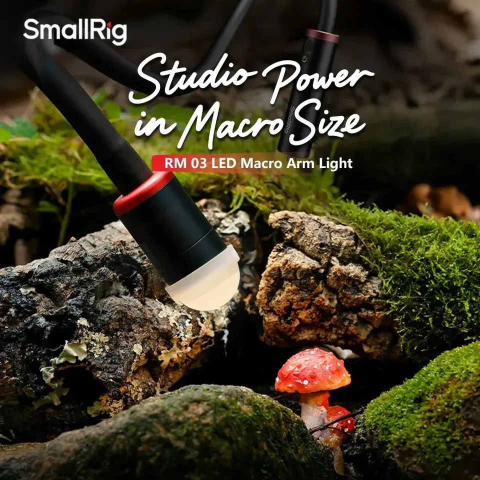 Per Smallrig RM-03 3W LED Macr - Photography Lighting Angles recensione e prezzo