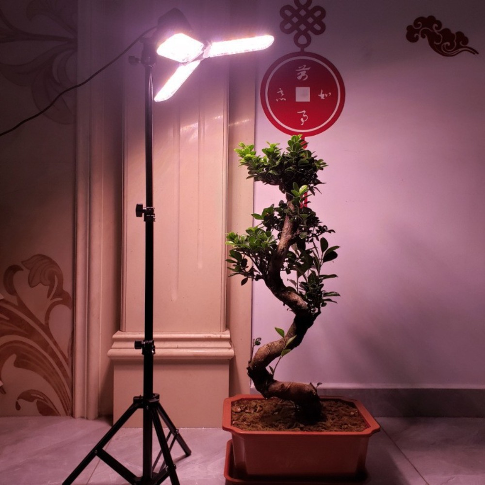 Portalampada 2M, attacco CA E2 - Photography Lighting Umbrella recensione e prezzo