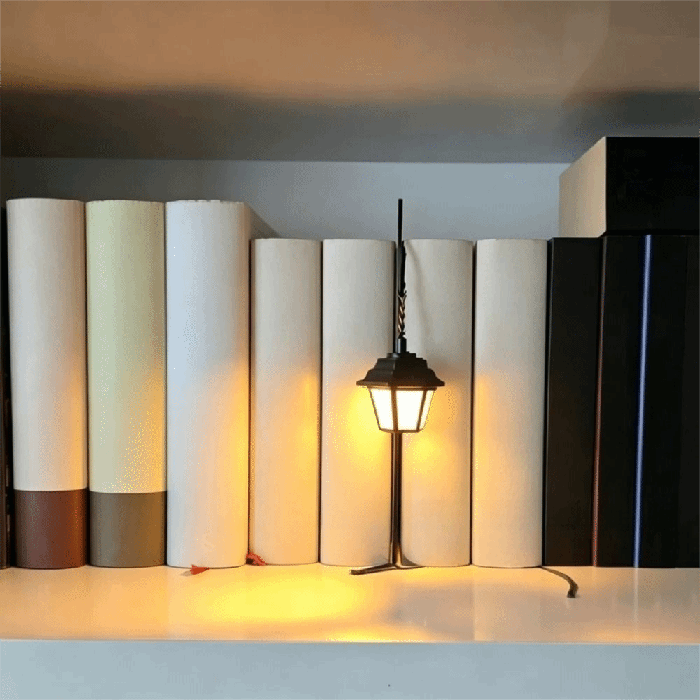 Nuova Lanterna LED Portatile d - Photography Lighting Book recensione e prezzo