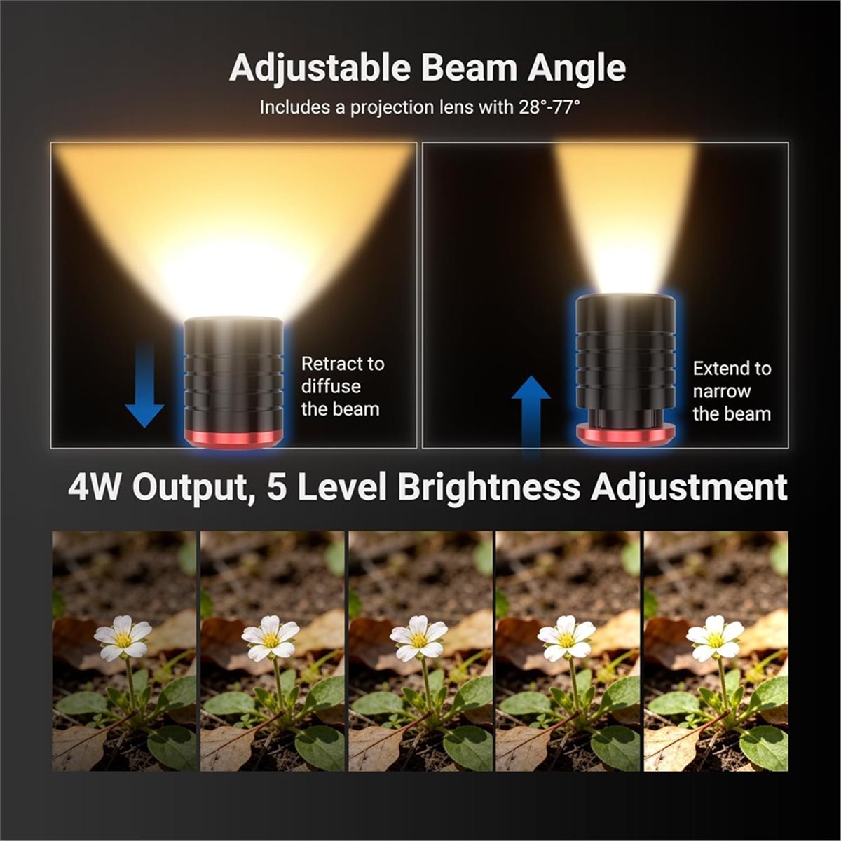 Luce LED M05K per Macrofotogra - Photography Lighting Angles recensione e prezzo