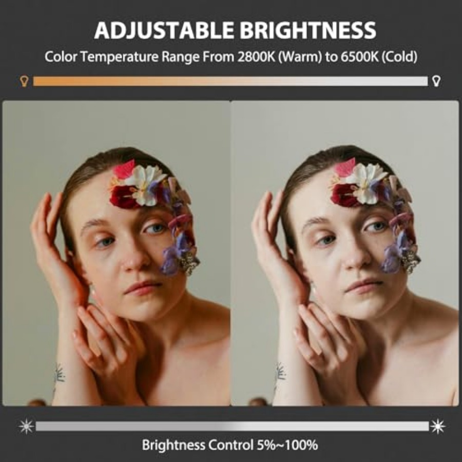 Luce video LED COB da 60W port - Photography Lighting Spotlight recensione e prezzo