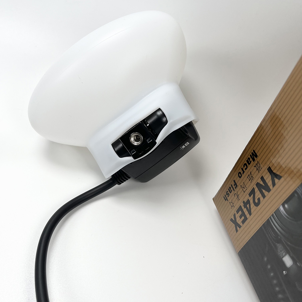 2 pz Softbox Doppia Testa Flas - Photography Lighting Godox recensione e prezzo